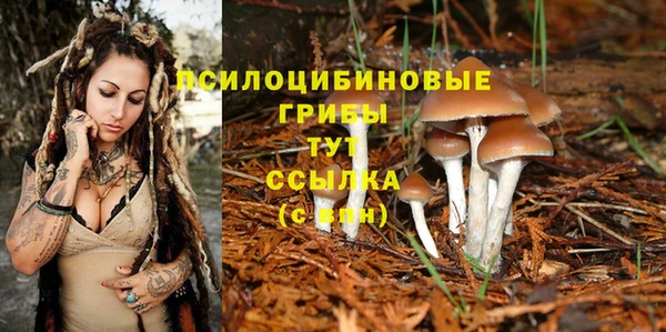 ешки Бугульма