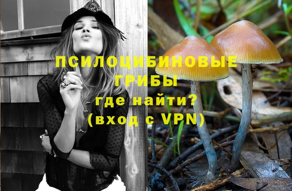 гидропоника Бородино