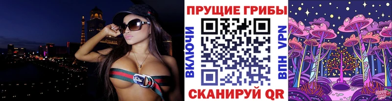 Псилоцибиновые грибы GOLDEN TEACHER  купить наркотик  Шахты 